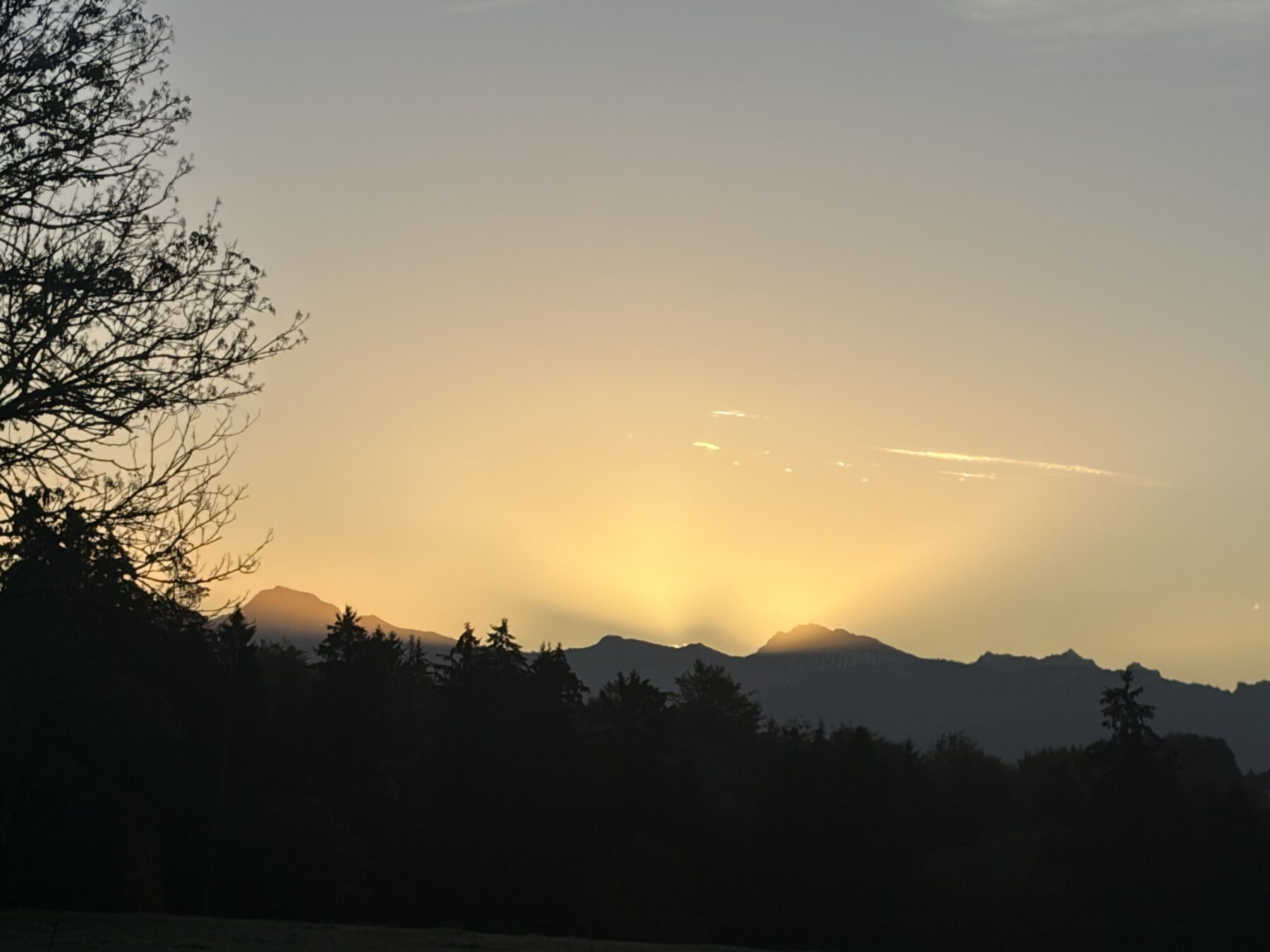 Photo : Sans titre