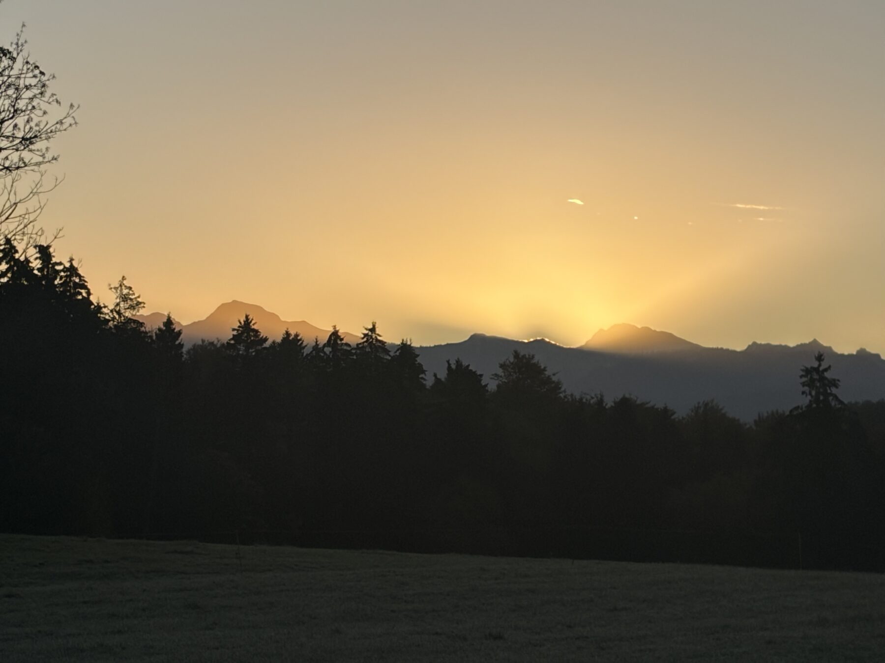 Photo : Sans titre