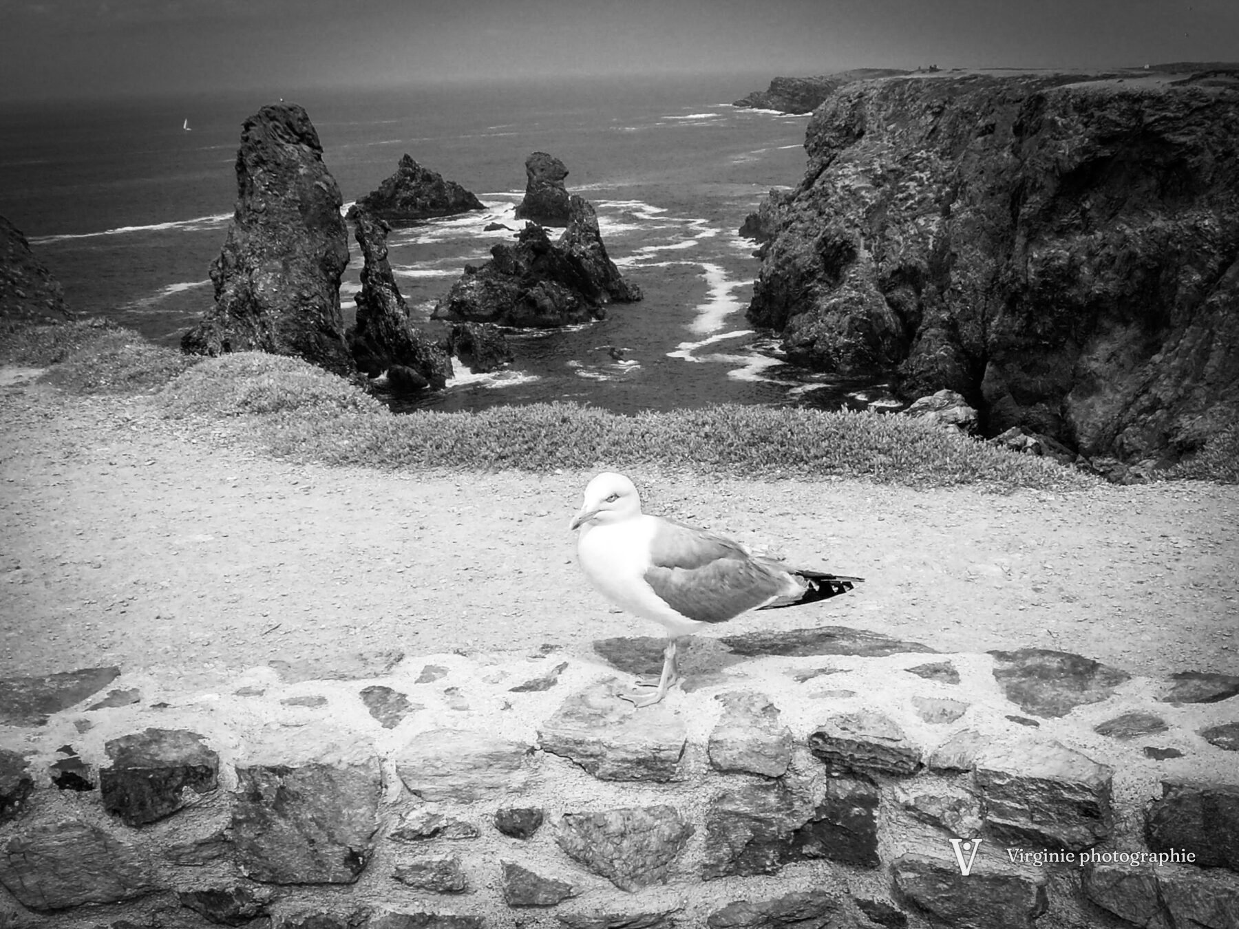 Photo : Sans titre