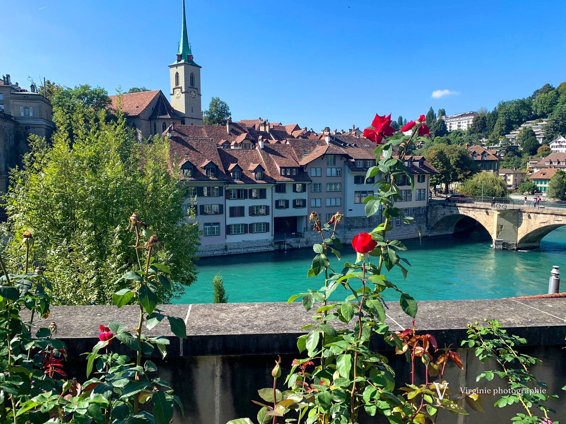 La vieille ville de Berne au bord de l’Aar turquoise, des roses au premier plan