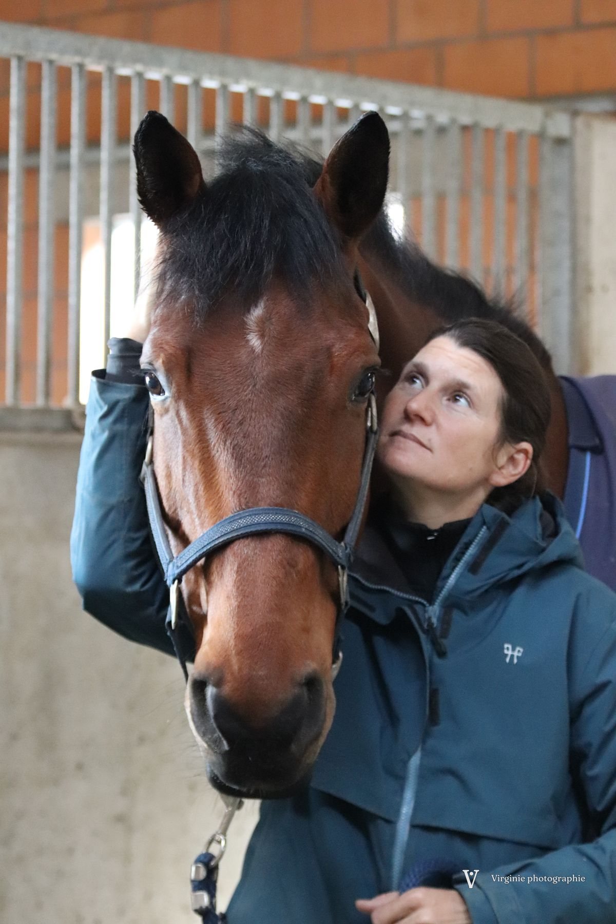 Un cheval bai à liste blanche, tête contre l’épaule de sa cavalière