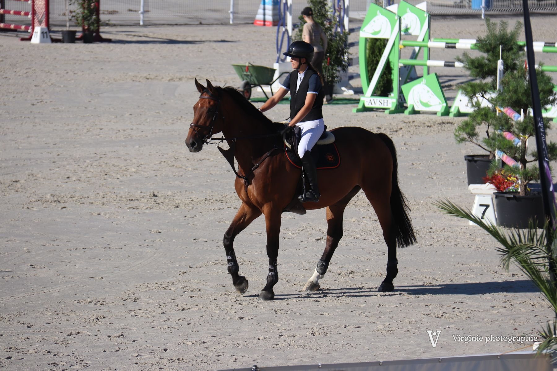 Une cavalière sur un cheval bai, au pas sur le sable du concours