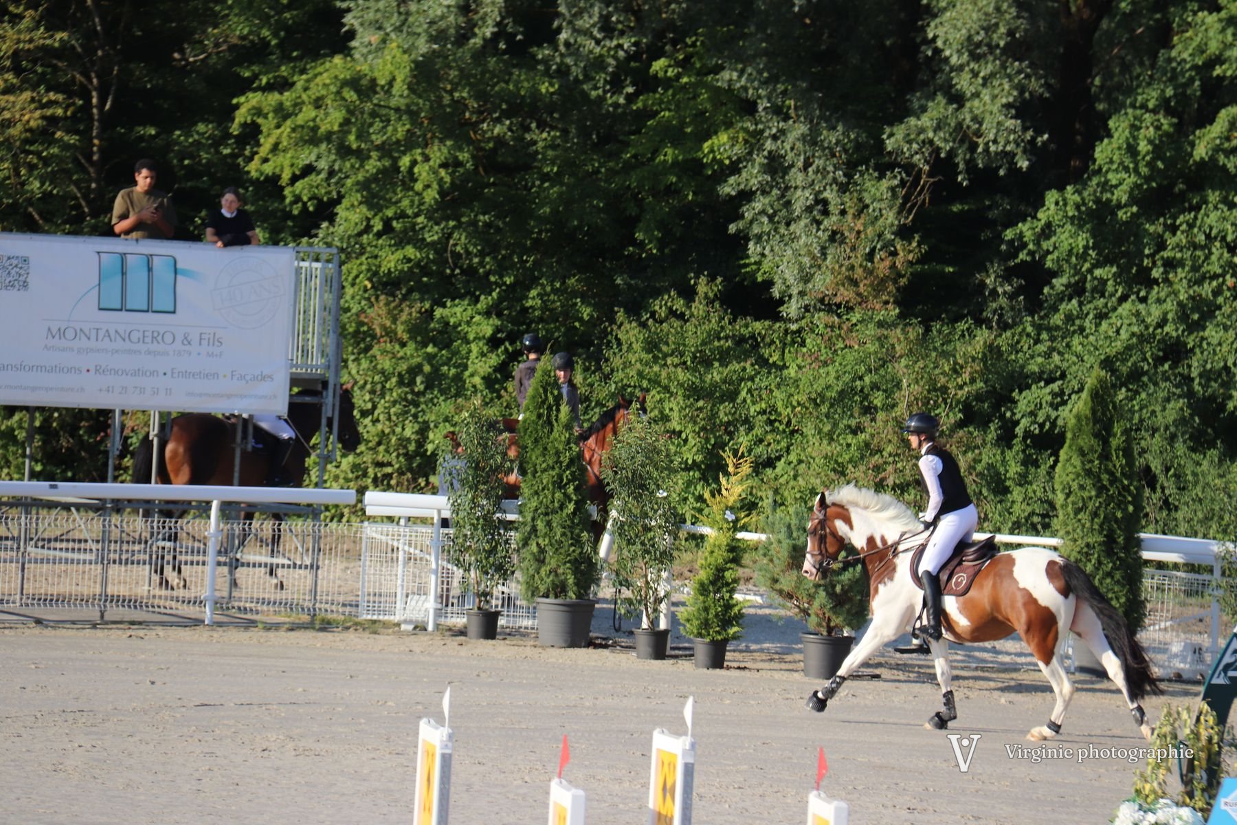 Un cheval pie au galop sur le parcours, devant les arbres