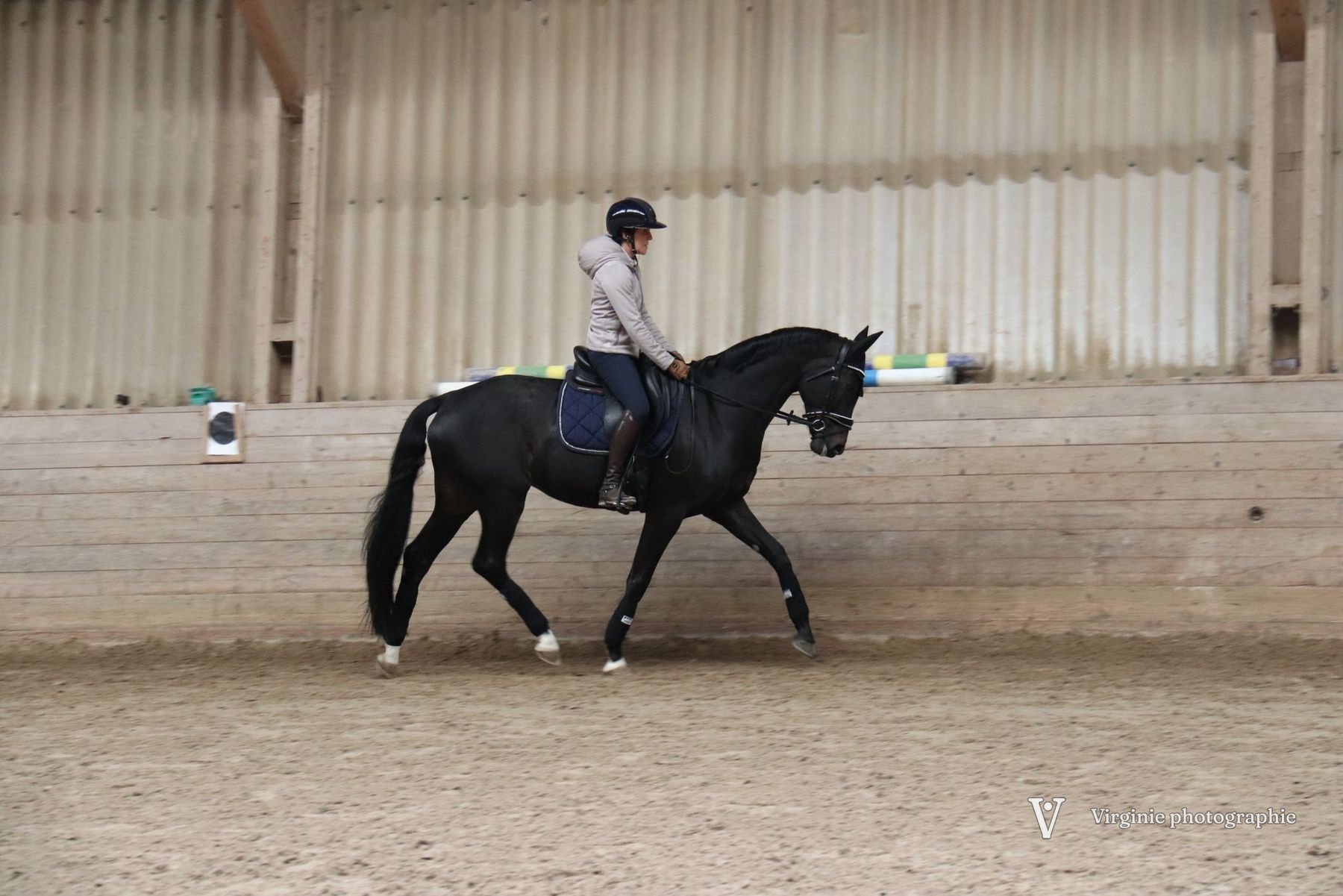 Une cavalière sur un cheval noir, au pas dans le manège