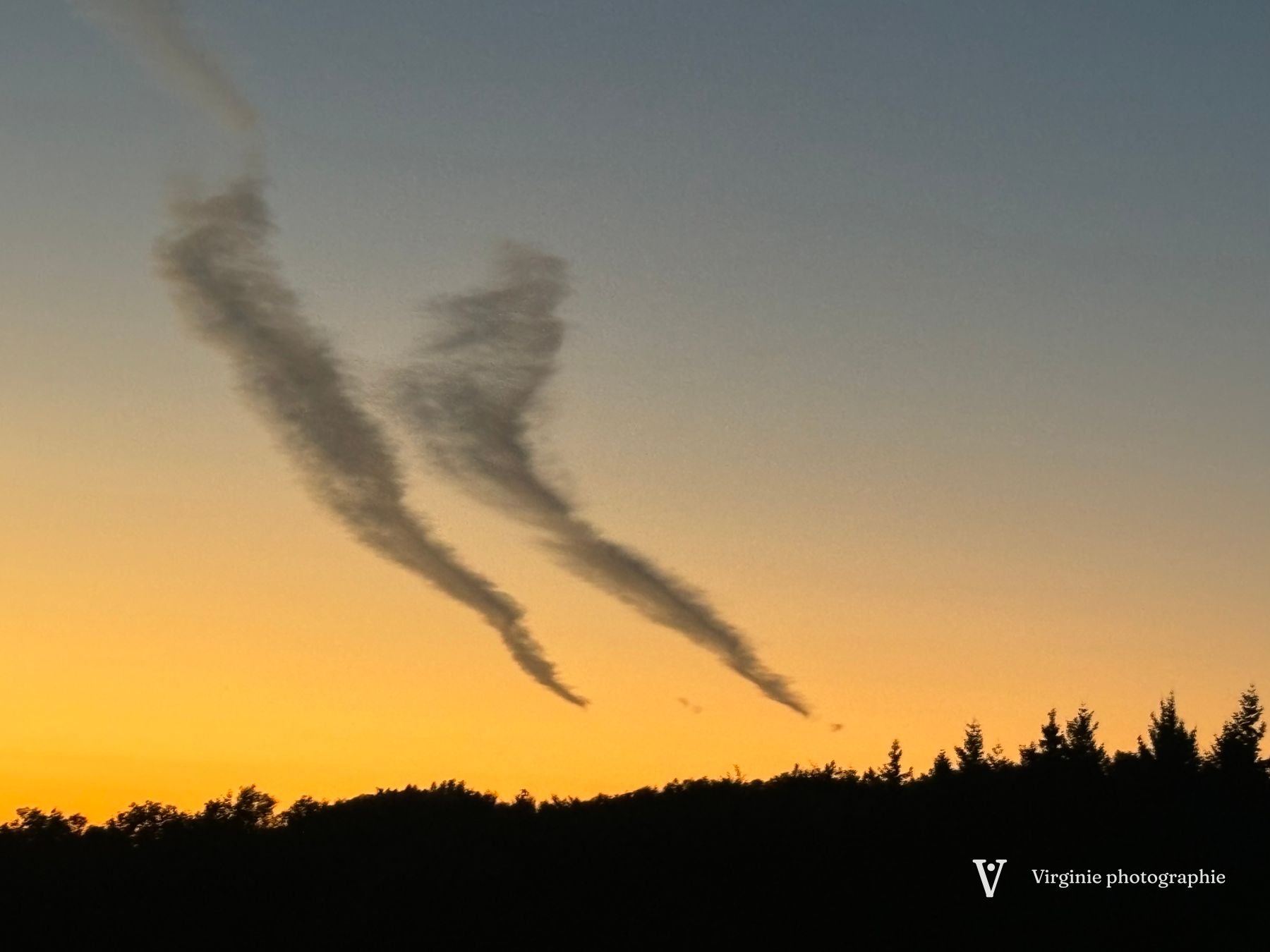Deux longues traînées de nuages sur un ciel orangé, au-dessus d’une forêt sombre