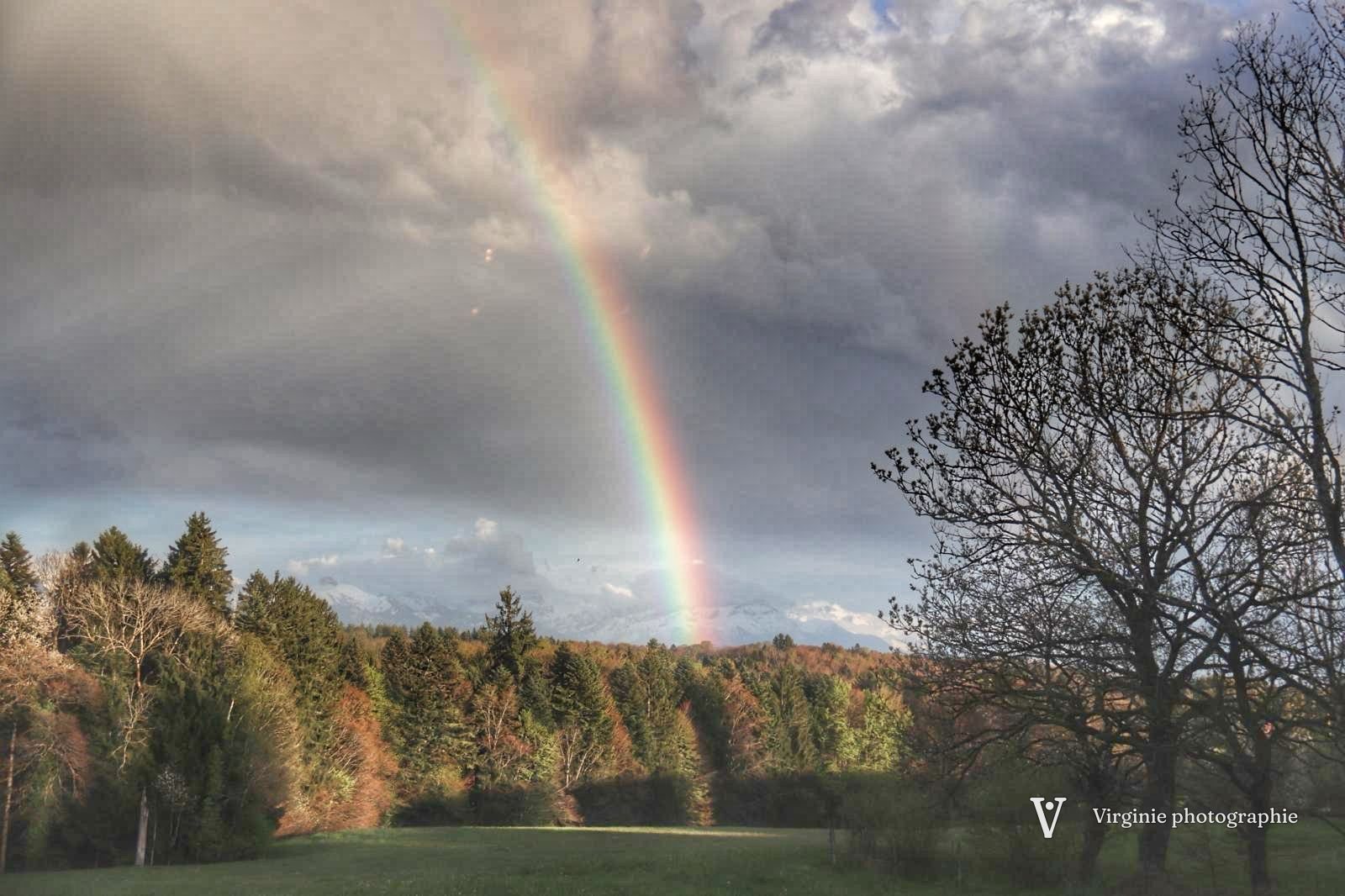 Un arc-en-ciel sous un ciel d’orage, au-dessus d’une lisière de forêt
