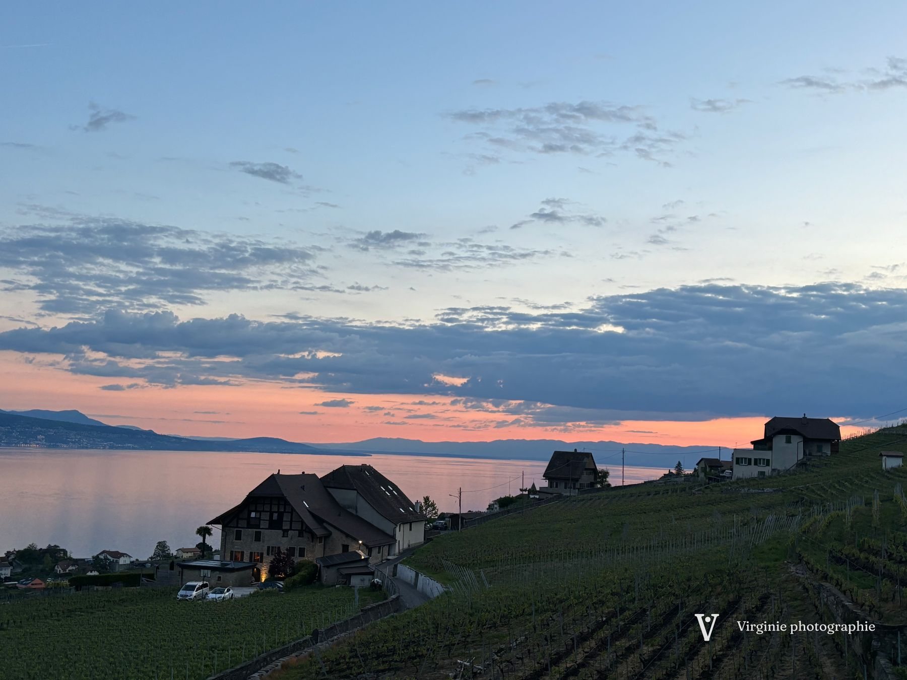 Une maison au milieu des vignes en terrasses, le lac et le ciel du soir derrière