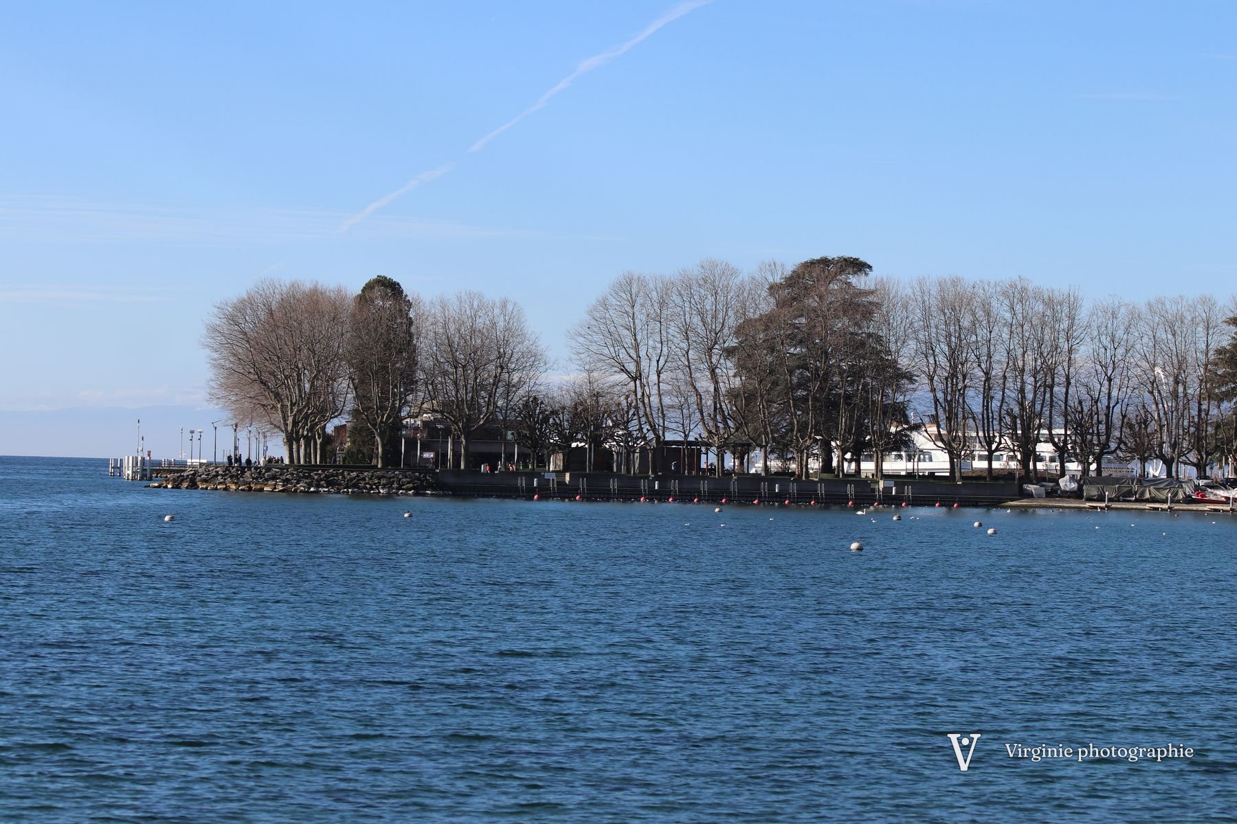 Un îlot planté d’arbres au milieu du lac bleu