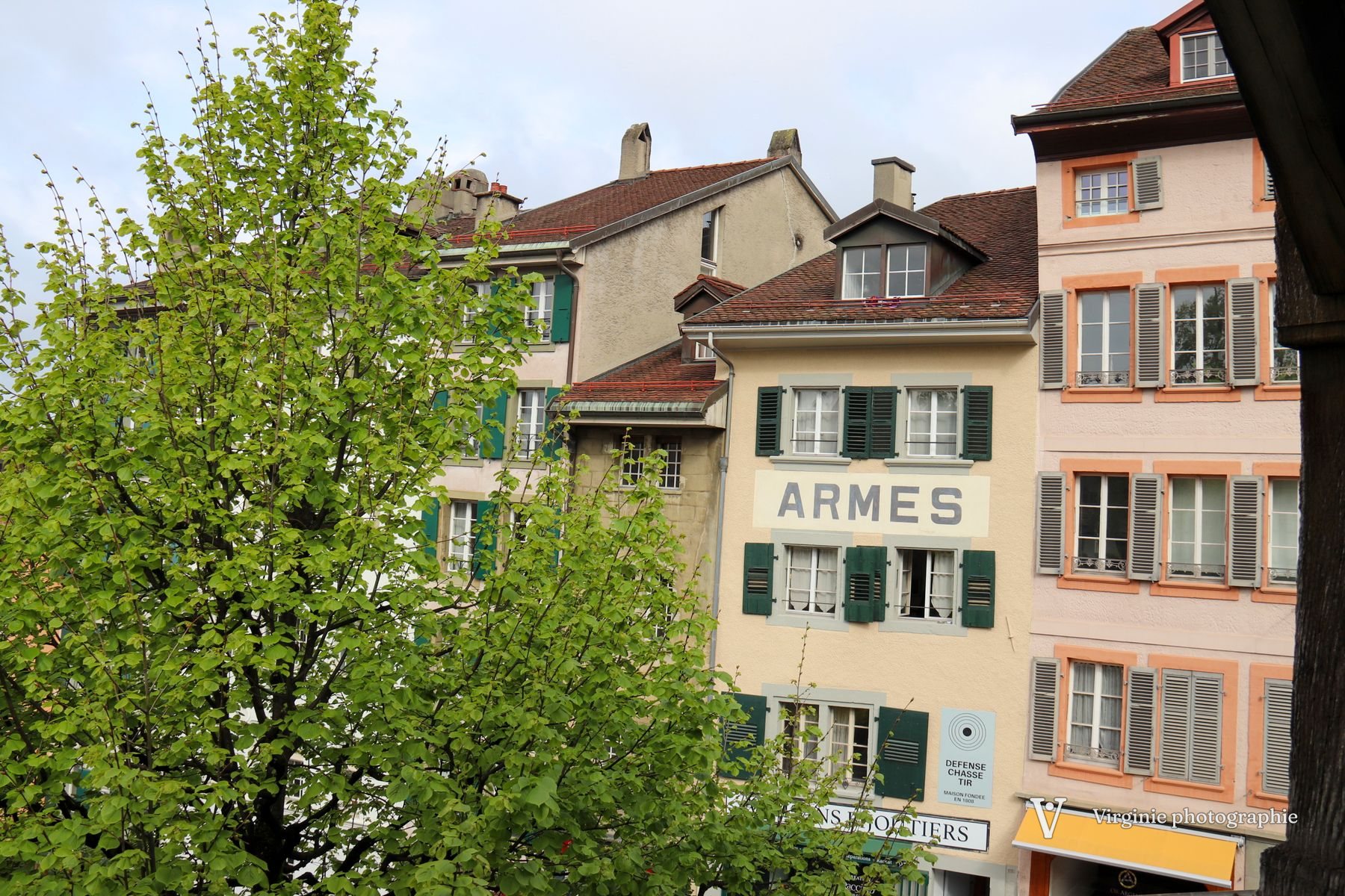 Des façades colorées derrière un arbre au feuillage neuf